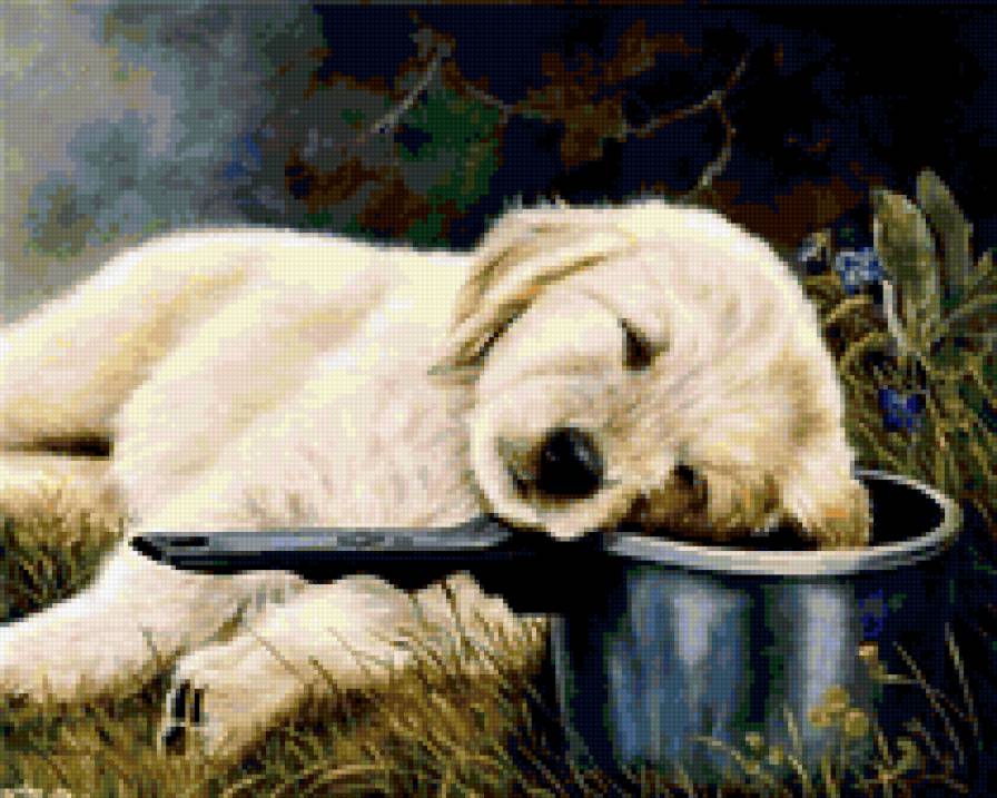 №239195 - собака, животные, щенок - предпросмотр