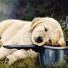 Схема вышивки «№239195»