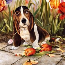 Схема вышивки «№239227»