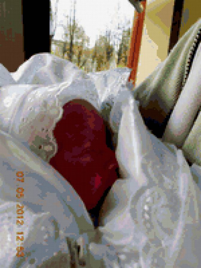 Сыночек - предпросмотр