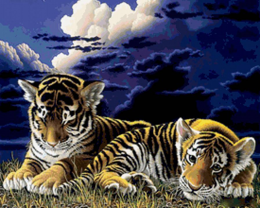 тигрята ,тигр 2 - тигр, кот, тигрята - предпросмотр