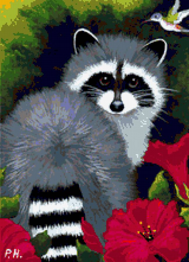 енот - енот, цвети, колибри - предпросмотр