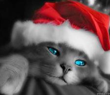 Схема вышивки «Новогодний котёнок.»