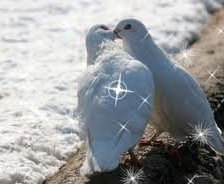 Схема вышивки «Голуби.»