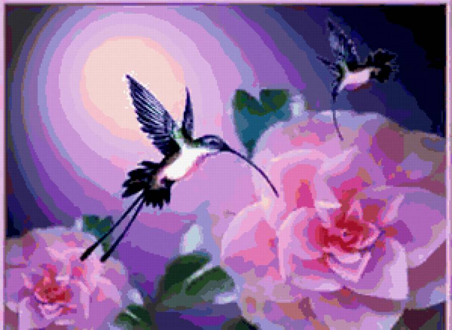 Колибри. - цветы., птицы - предпросмотр