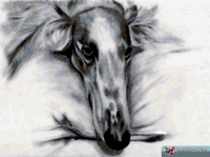 собака - собака - предпросмотр