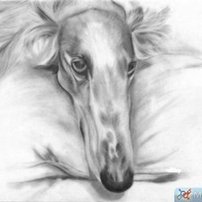 Схема вышивки «собака»