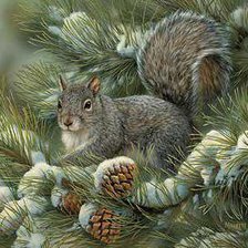 Схема вышивки «белка»