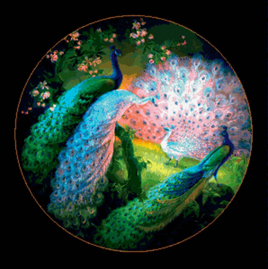 Павлины - птицы, фентези, павлины - предпросмотр