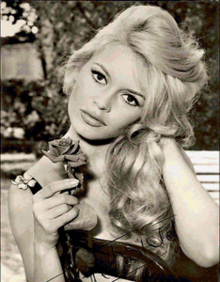 Бриджит Бардо - бардо, девушка с розой - предпросмотр