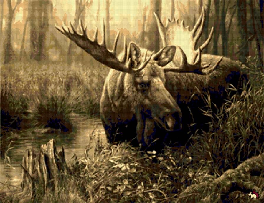 Лось. - животные, лось. - предпросмотр