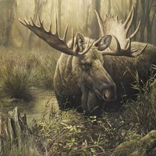 Схема вышивки «Лось.»