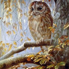 Схема вышивки «№239806»