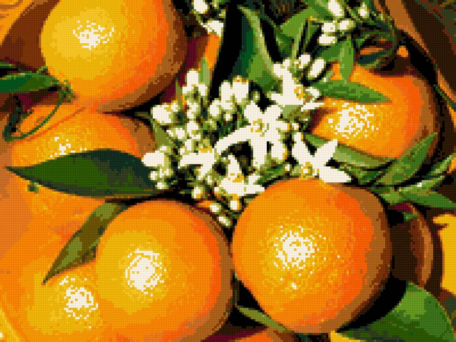 Апельсины. - еда, кухня, фрукты, апельсины. - предпросмотр