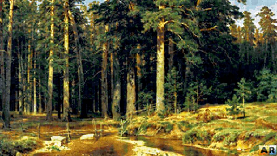 Сосны - природа, пейзаж - предпросмотр