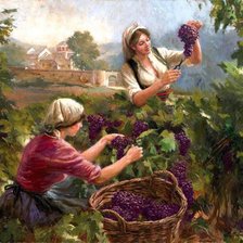 Схема вышивки «szüretelők»