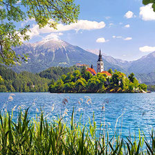 Схема вышивки «№240284»