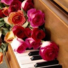 Схема вышивки «розы»