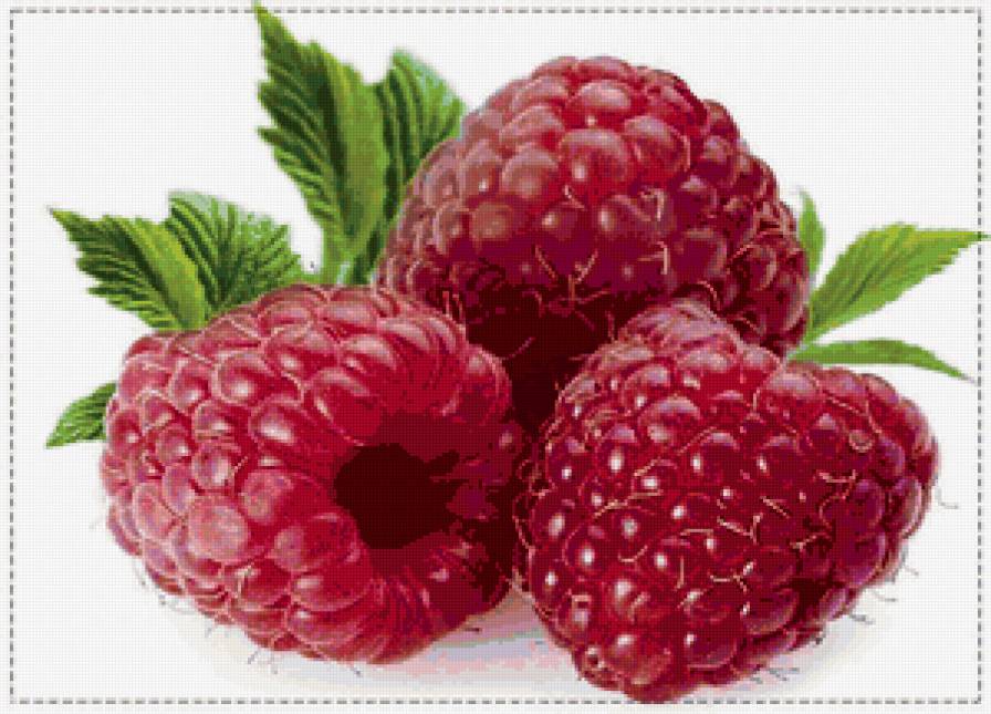 Малинка для сладкой жизни - предпросмотр