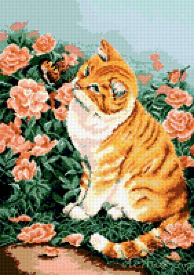 котик - бабочка, кот - предпросмотр