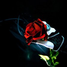 Схема вышивки «роза в  руке»