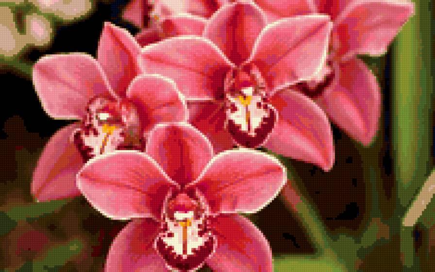 розовые цветочки - предпросмотр