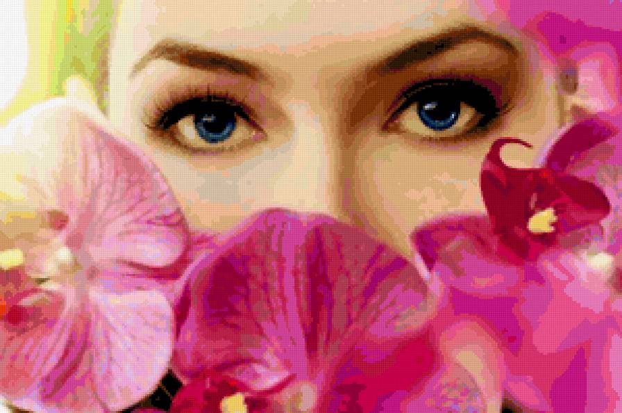 Орхидеи. - девушка, взгляд, глаза, цветы - предпросмотр