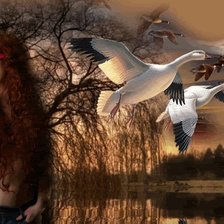 Схема вышивки «lány madarakkal»