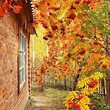 Схема вышивки «осень»