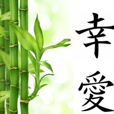 Схема вышивки «БАМБУК С ИЕРОГЛИФАМИ»