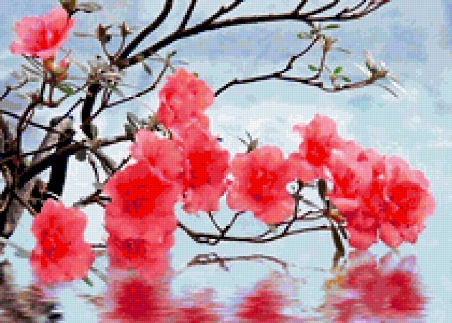 virágos faág - предпросмотр