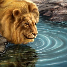 Схема вышивки «Лев»