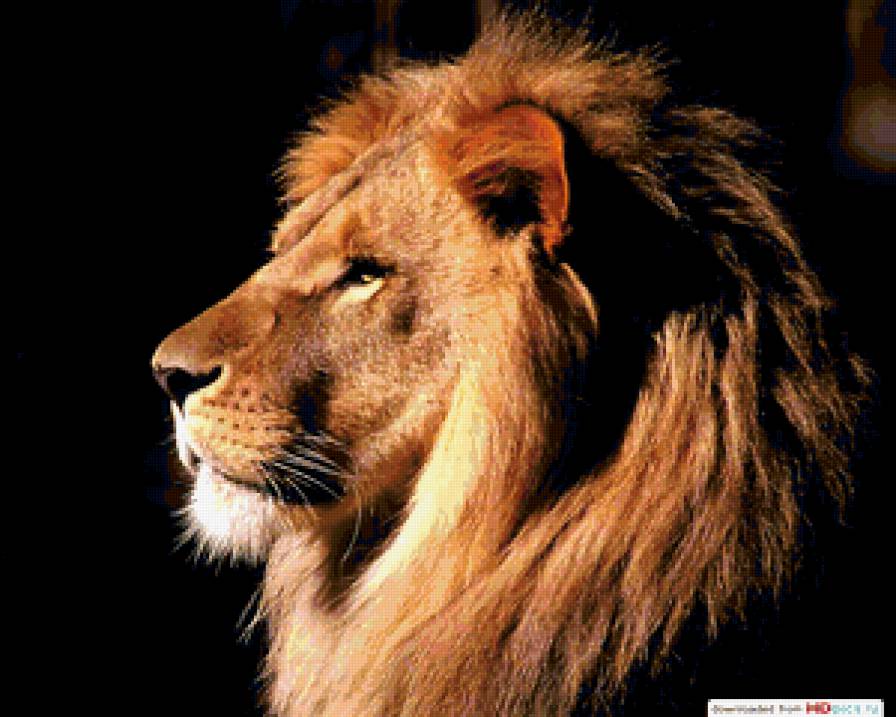 Лёва - предпросмотр