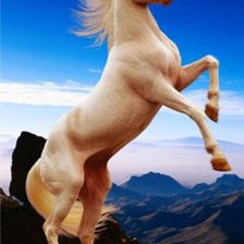 Схема вышивки «Лошадь»