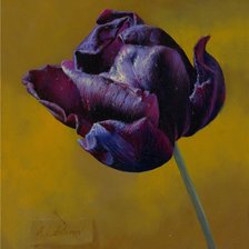 Схема вышивки «№240976»