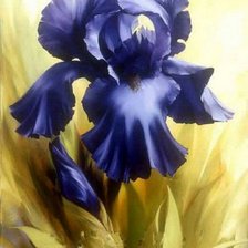 Схема вышивки «№240977»