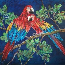 Схема вышивки «Попугаи»