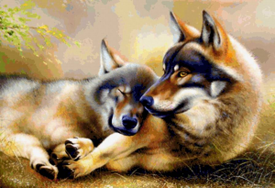 Волки - пара, животные, волки - предпросмотр