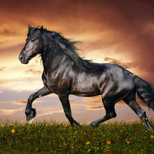 Схема вышивки «Лошадка»