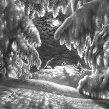 Схема вышивки «Черно - белая зима»