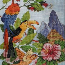 Схема вышивки «птици»