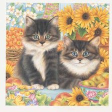 Схема вышивки «котики»