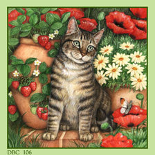 Схема вышивки «котик в маках»