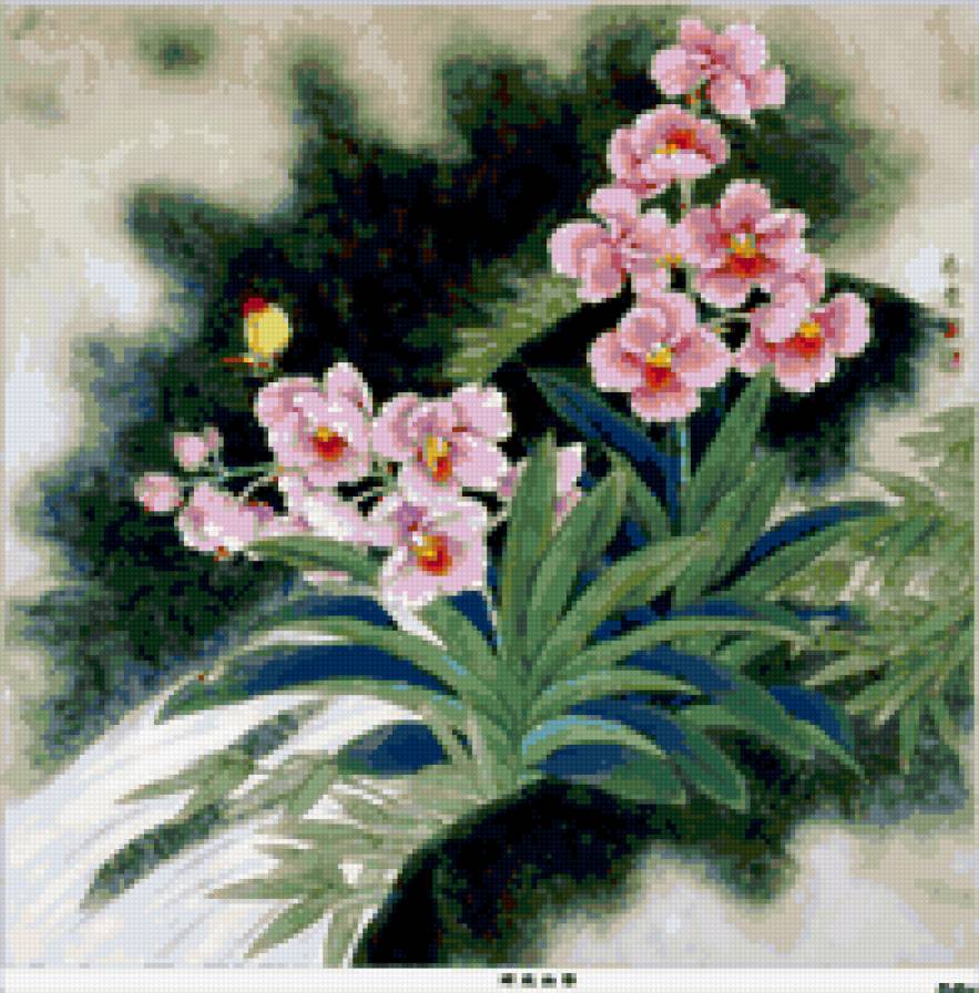 орхидеи - цветы орхидеи - предпросмотр