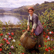 Схема вышивки «№241569»