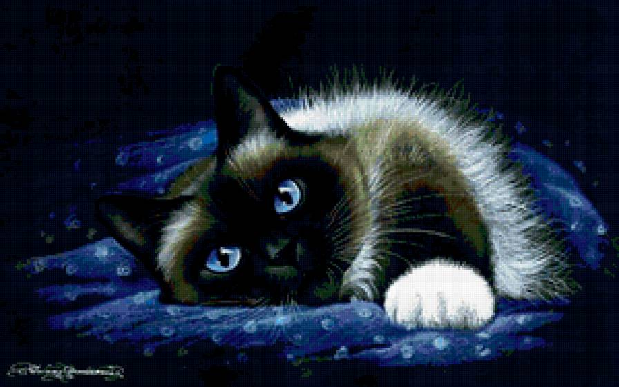 Киса - предпросмотр