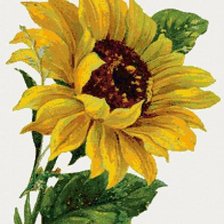 Схема вышивки «№241670»