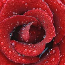 Схема вышивки «№241722»