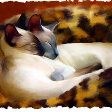 Схема вышивки «Коты»