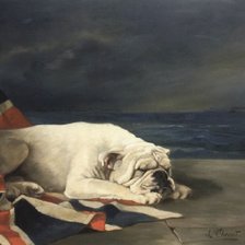 Схема вышивки «Английский бульдог на страже британской империи»